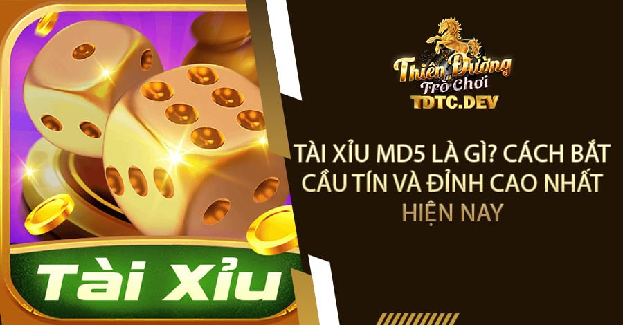 Tài Xỉu MD5 là gì? Cách bắt cầu tdtc tín và đỉnh cao nhất 10 Tài Xỉu MD5 là gì? Cách bắt cầu tín và đỉnh cao nhất hiện nay