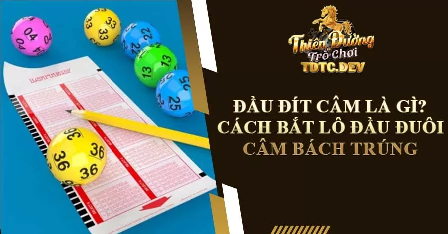 Đầu Đít Câm Là Gì? 2 Cách Bắt Lô Đầu Đuôi Câm Bách Trúng 3 Đầu đít câm